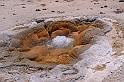 075 yellowstone, upper geyser biscuit basin, shell geyser